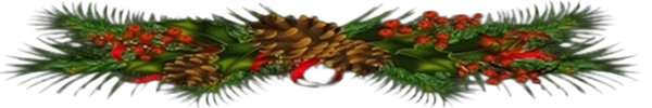 Pine cones