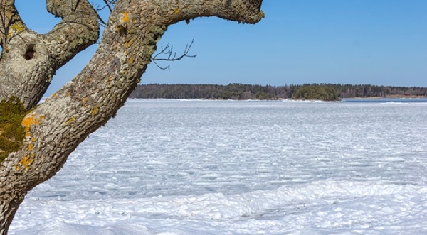 Frozen lake